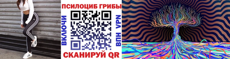 купить  сайты  Урень  Псилоцибиновые грибы ЛСД 